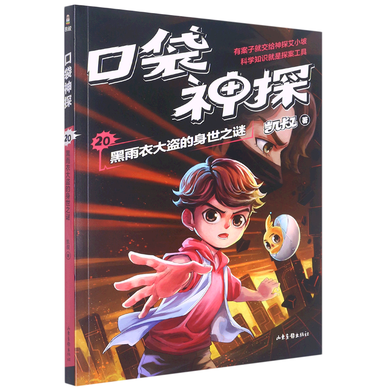 口袋神探(20黑雨衣大盗的身世之谜)