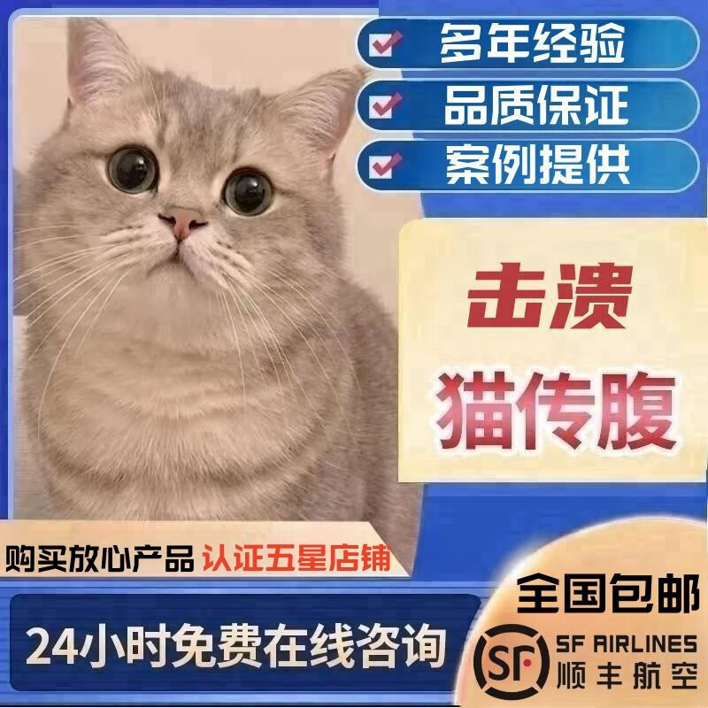 SMVP（空运 可次日达）441猫腹传针剂营养液传腹水油剂猫干湿性猫腹水 单瓶【20浓度】6ml低痛版怎么看?