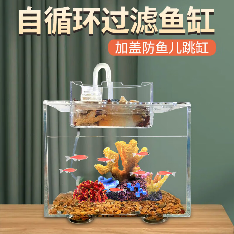 SOBO小鱼缸真实使用感受,真相揭秘入手感受