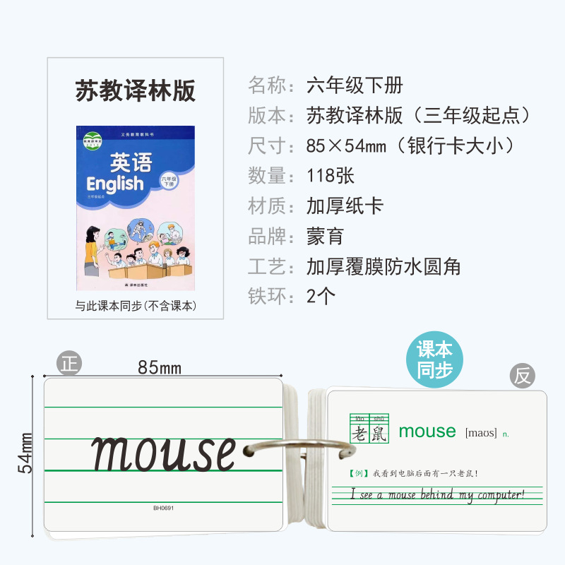 2022年苏教译林版12345年级上下册小学英语单词句型同步对话卡片 六年级下册单词卡117张