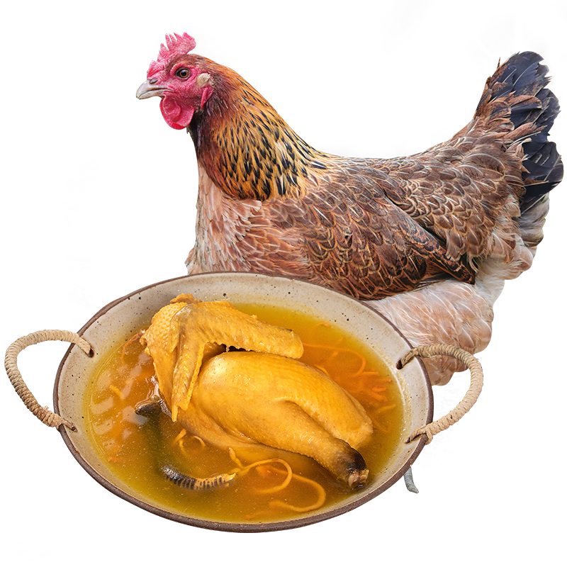 散养优质鸡肉价格走势分析-温润黑脚土鸡|京东鸡肉历史价格在哪里找