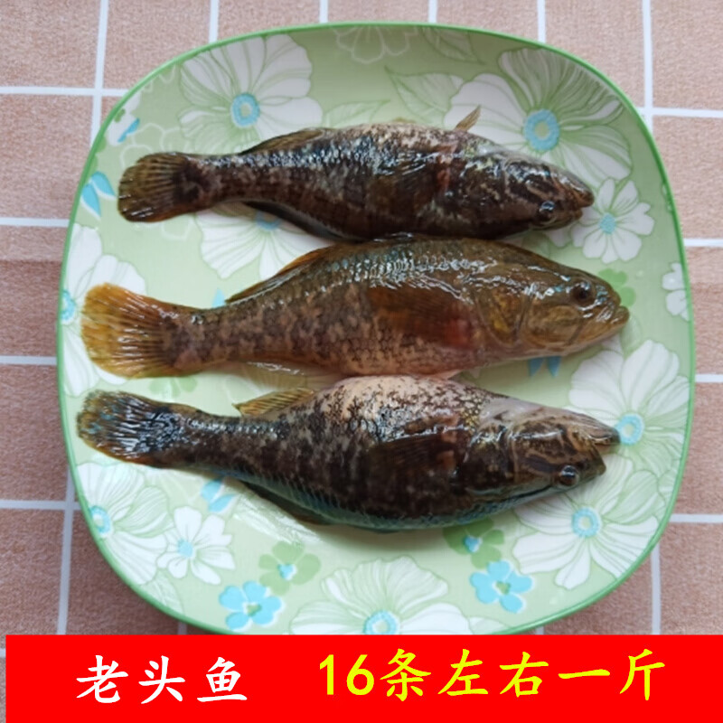 虎钢馋老头鱼胖头鱼黑龙江新鲜速冻开河鱼500g