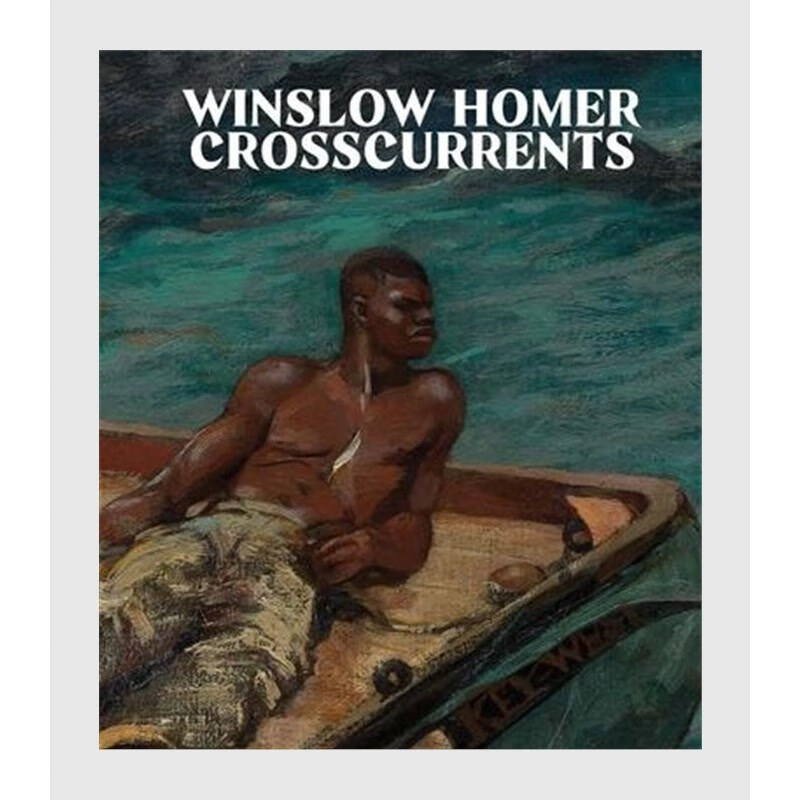 winslow homer:crosscurrents