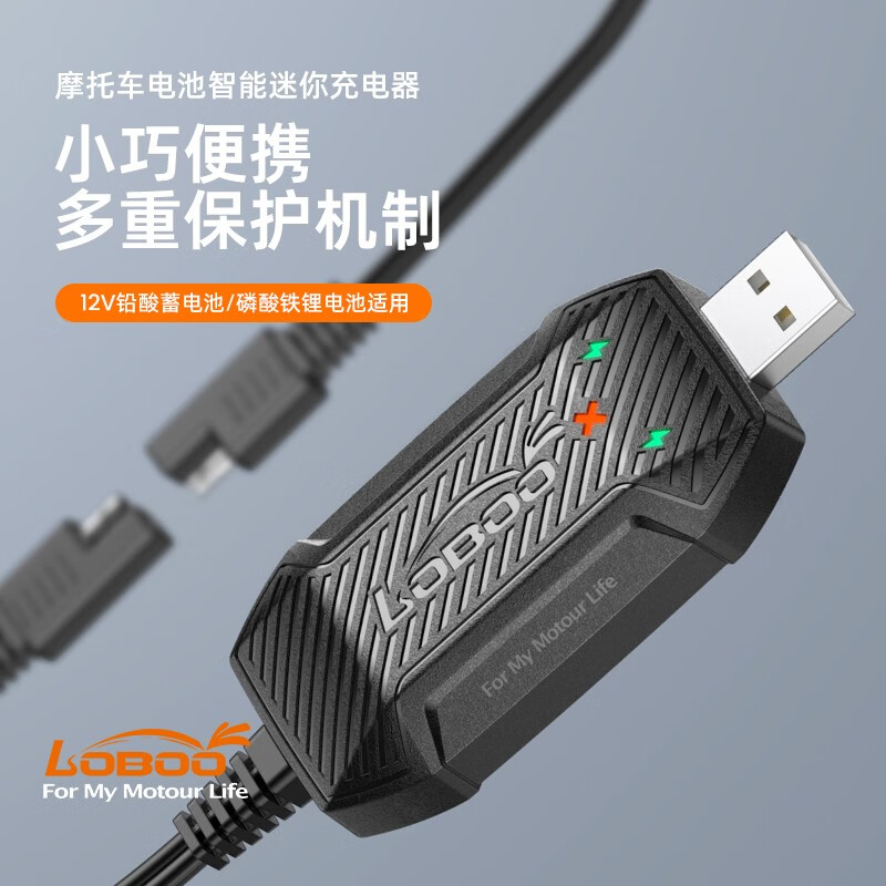 loboo摩托车电池电瓶充电器usb迷你便携智能快充蓄电池v12通用型 红色