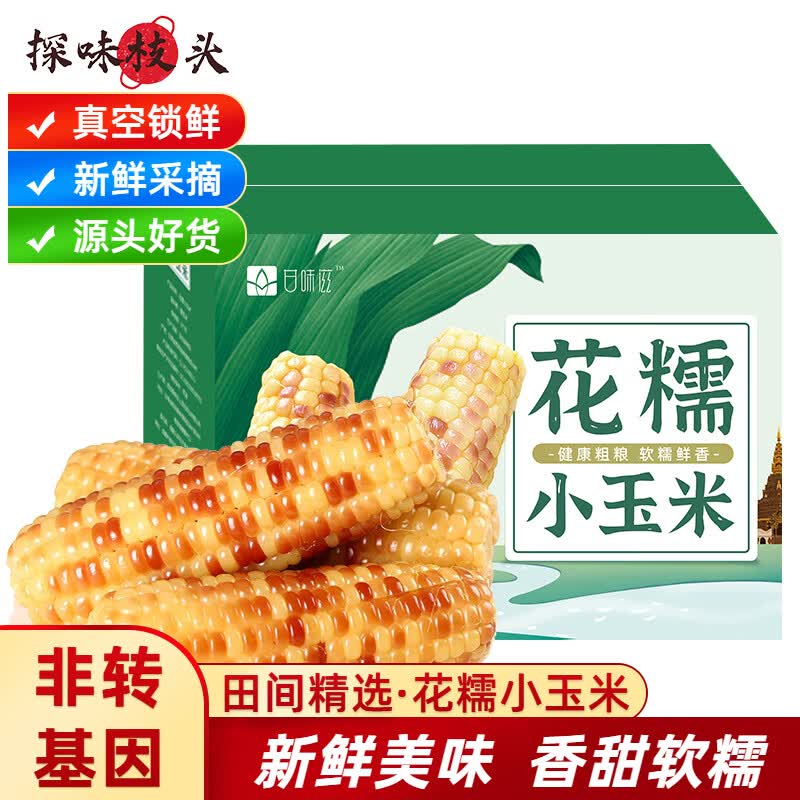 探味枝头云南西双版纳花糯小玉米12-16支装 2500g 新鲜黏甜粘玉米棒蔬菜使用感如何?