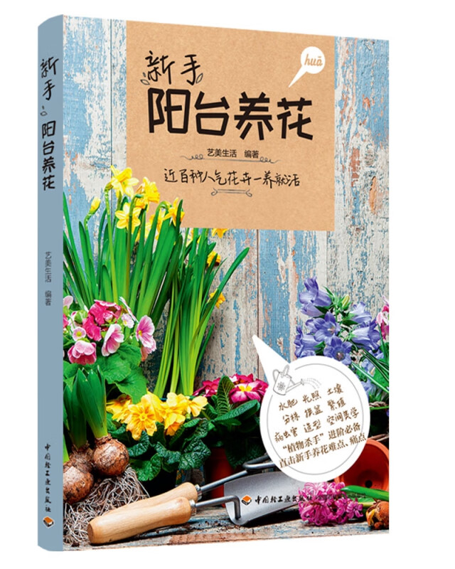 新手阳台养花