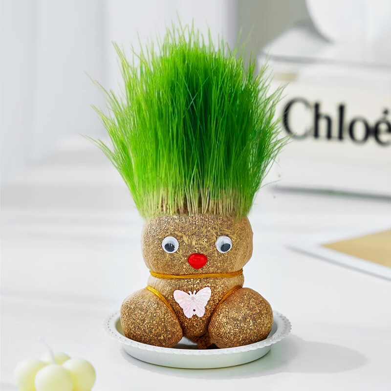 绿有意六一儿童节草头娃娃头上长草娃娃人盆栽种植浇水长头发种草幼儿园 【体验】娃娃1个+托盘