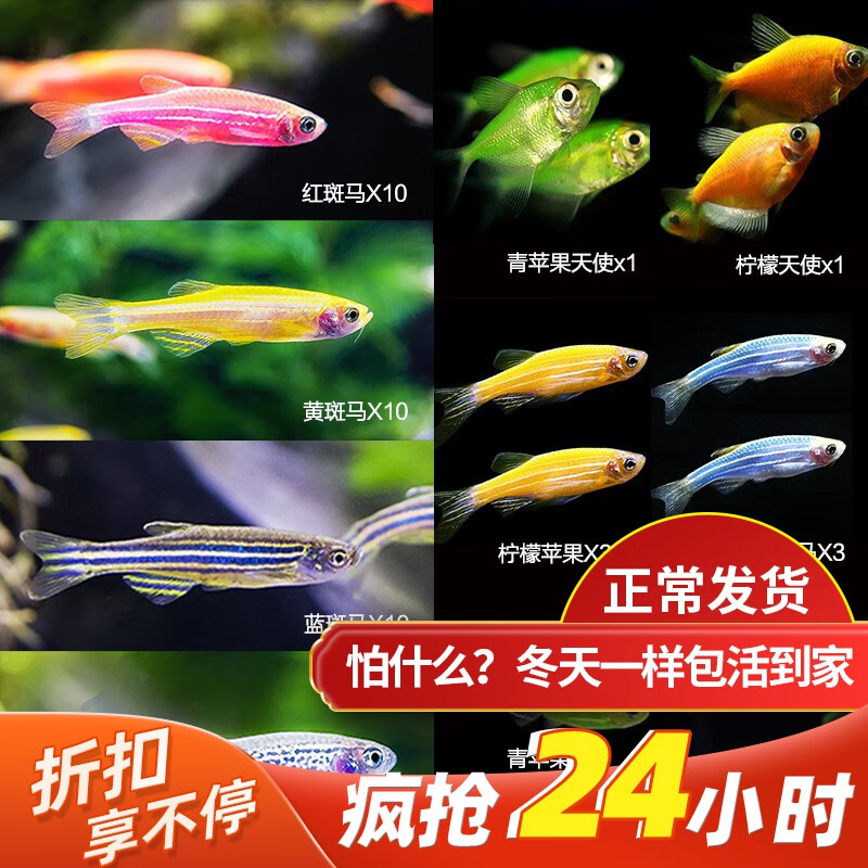 水族活体低价历史查询|水族活体价格走势图