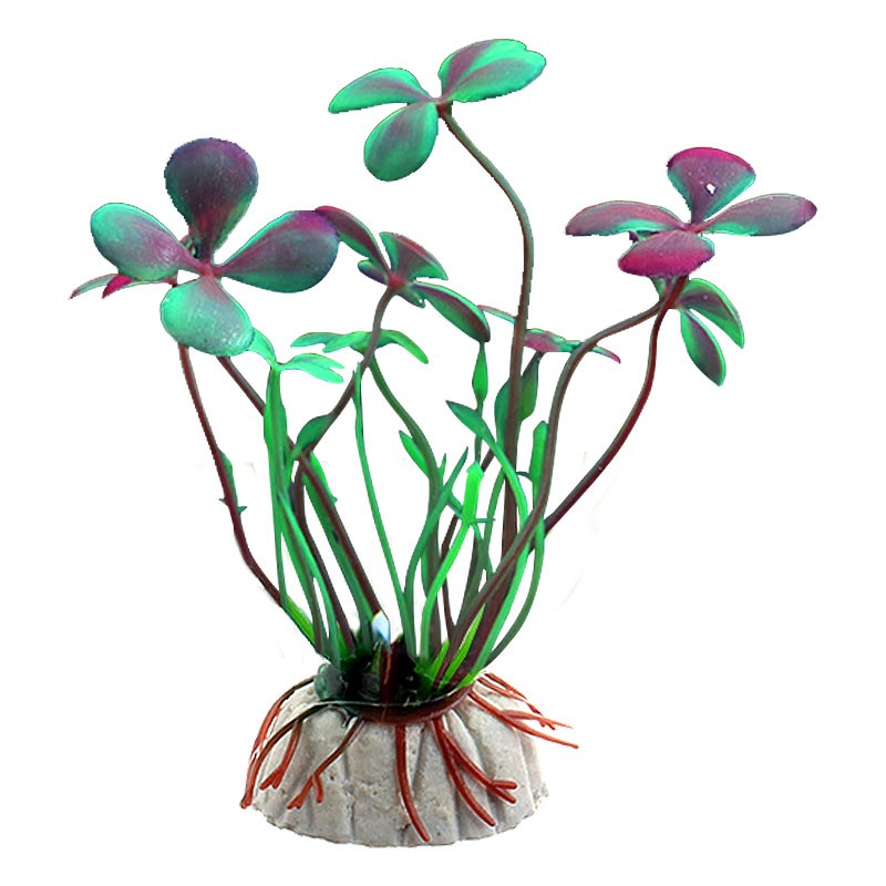 假草 相关京东优惠商品价格升序 价格图片品牌优惠券 虎窝购