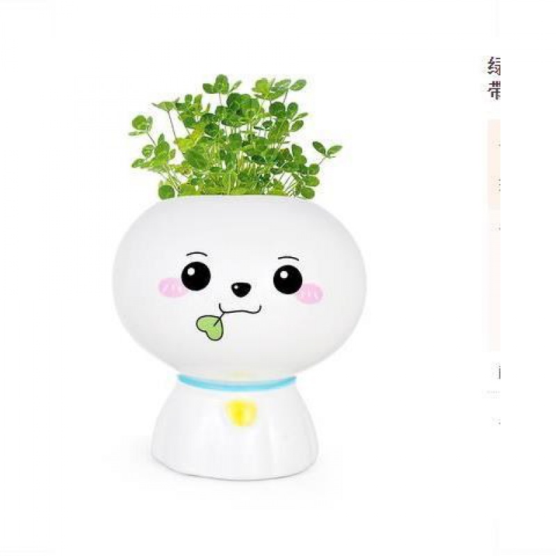 室内种植可爱表情长草头娃娃  白色含草娃娃幸运草