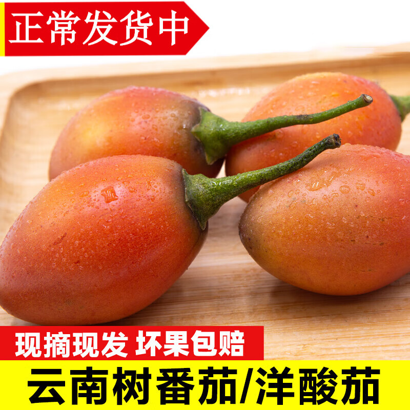 辰实云南新鲜大树番茄 树酸茄洋酸茄 新鲜鸡蛋果番茄缅茄傣味特产 1斤（大果）