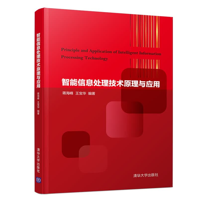 智能信息处理技术原理与应用