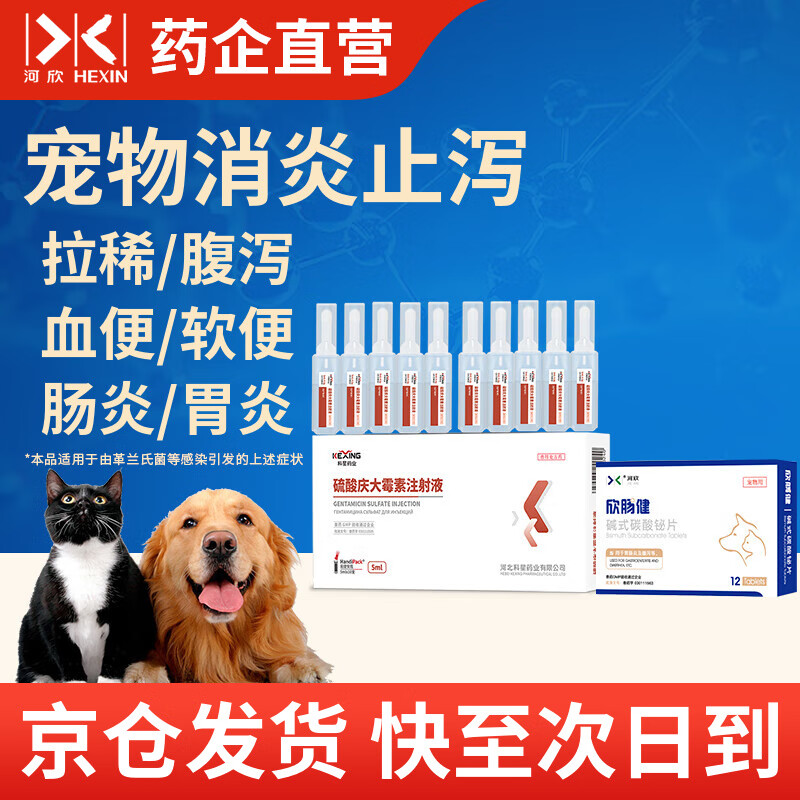 硫酸庆大霉素注射液宠物抗菌消炎猫狗止吐止泻狗狗肠胃炎症猫咪呕吐