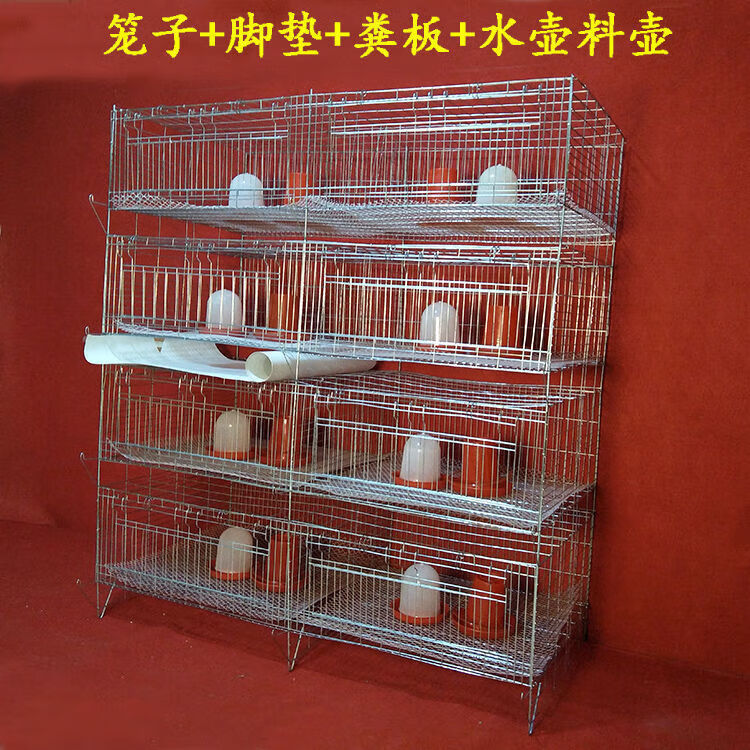 圣科莱加粗加密育雏笼小鸡笼雏鸡笼4层一体式弹簧门育鸭子鹅孔雀鸡苗