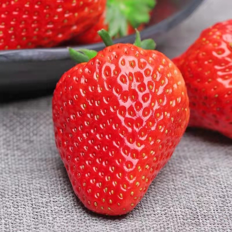 【空运直达】丹东99草莓 红颜奶油大草莓 久久九九草莓 产地直发 新鲜水果现摘现发 带箱3斤 中大果