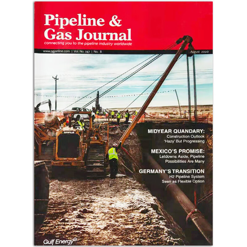 【单期可选】Pipeline&Gas Journal 美国管道与天然气杂志 2020/21年月刊 英 2020年8月刊