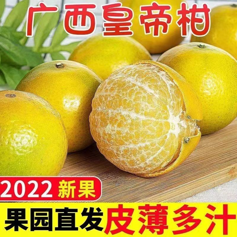桔橘价格曲线查询|桔橘价格比较