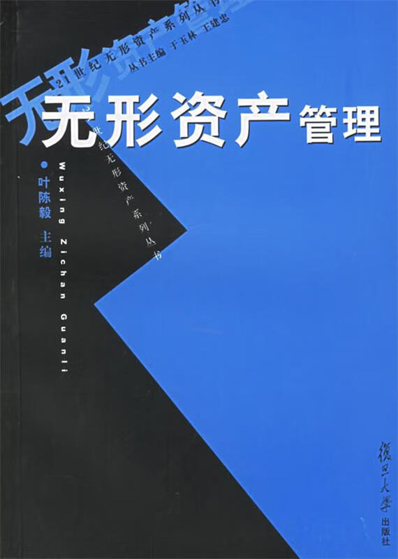 无形资产管理【稀缺图书,放心购买】