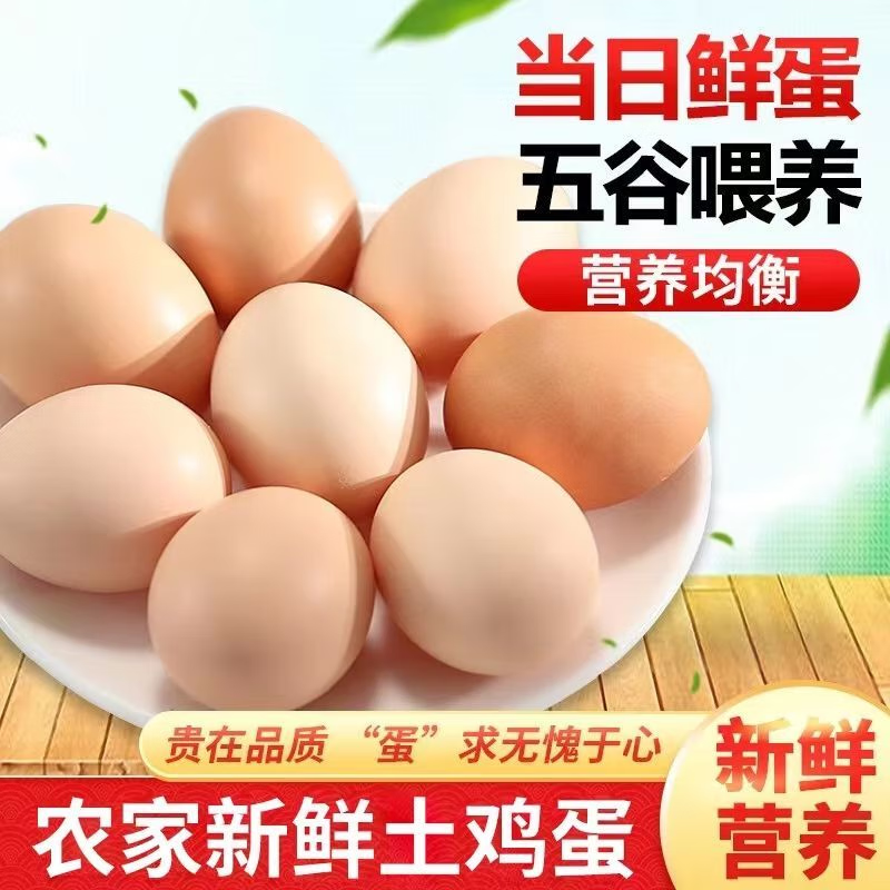 图石果记【活动】农家散养玉米黄鸡蛋 新鲜土鸡蛋 6枚 新鲜土鸡蛋