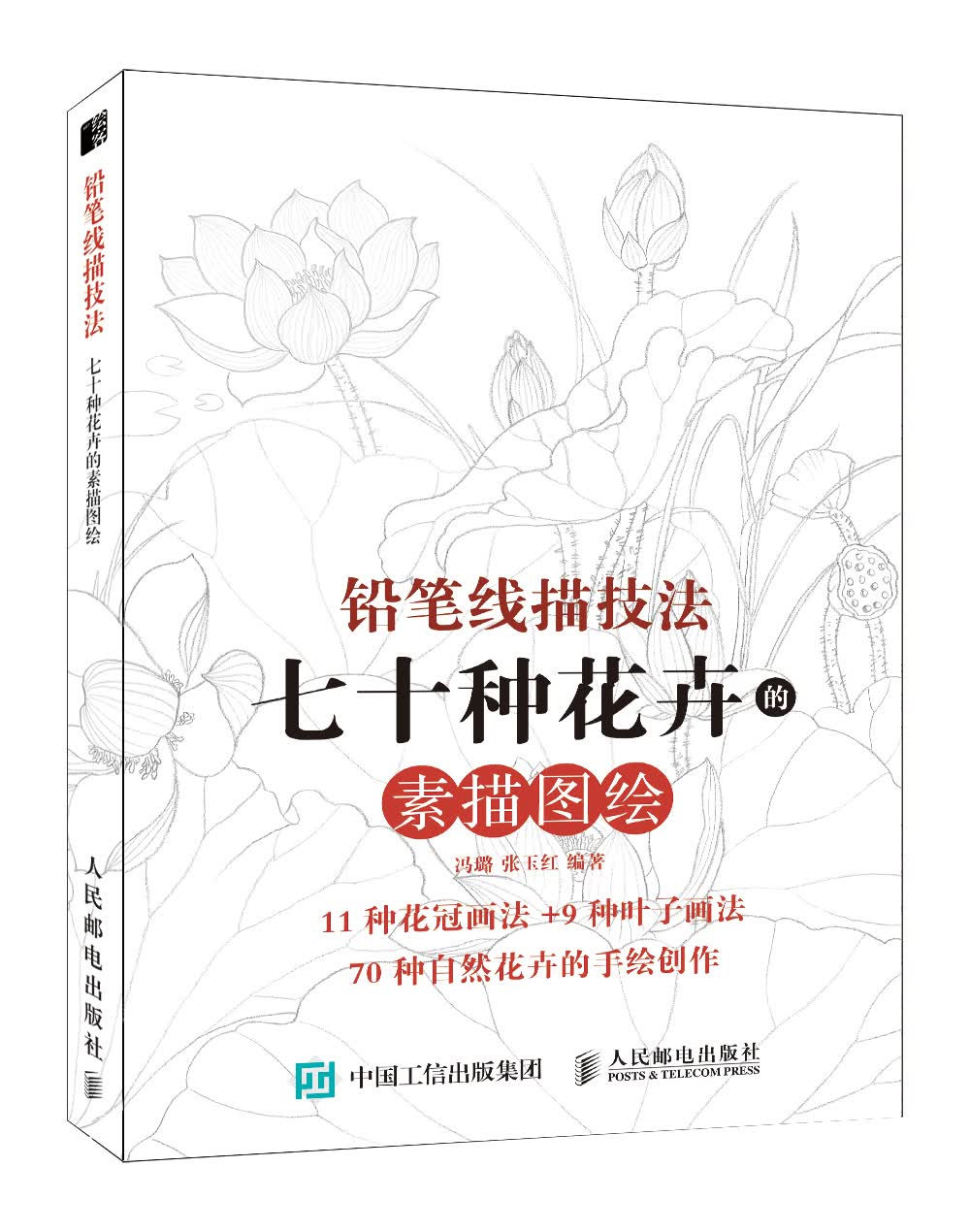 铅笔线描技法 七十种花卉的素描图绘（绘客出品）