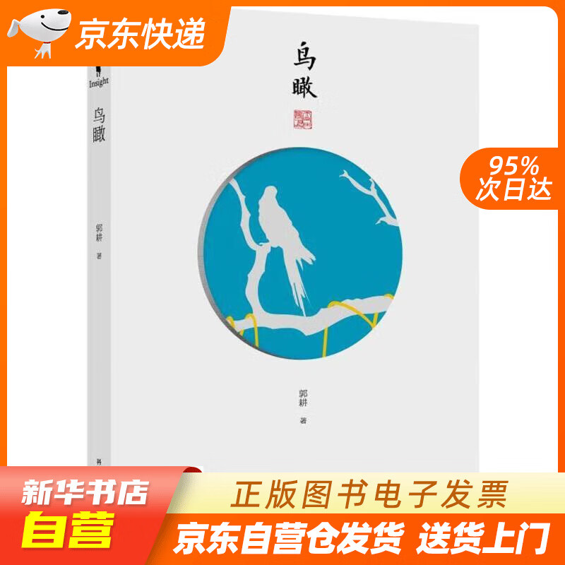 【全新正版图书】鸟瞰