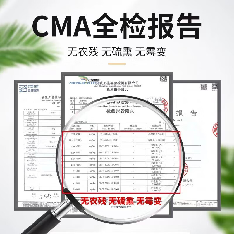 泽信堂 伸筋草 500克