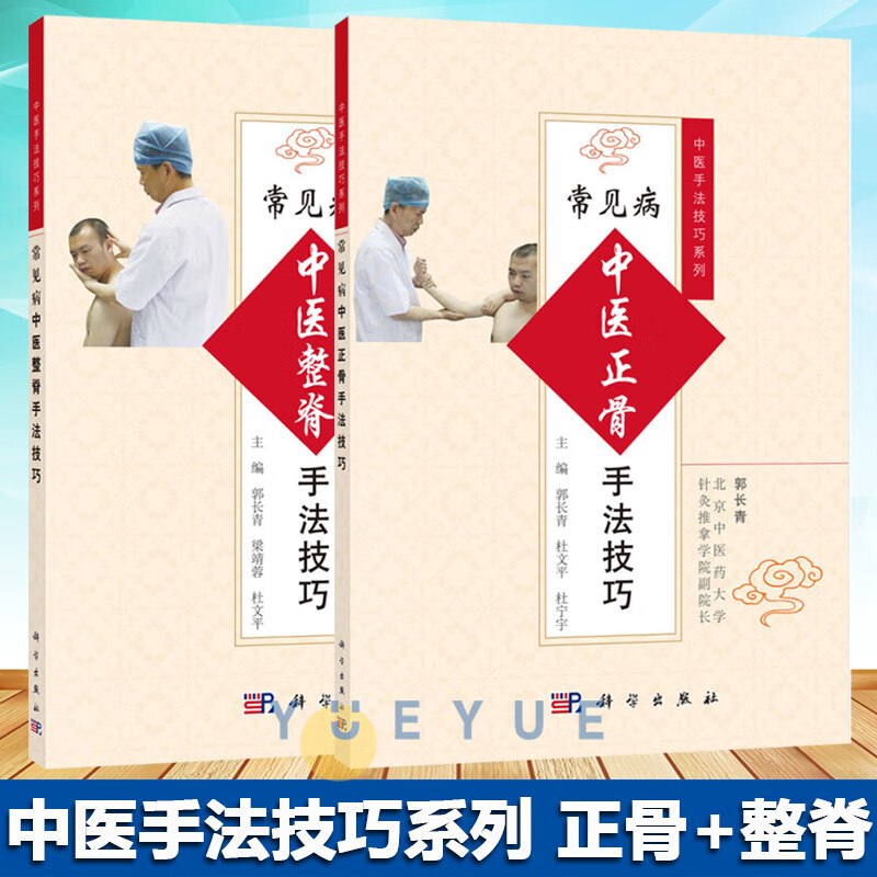 中医手法技巧系列 正骨 整脊 全2册 中医 推拿/按摩 整脊疗法的基础