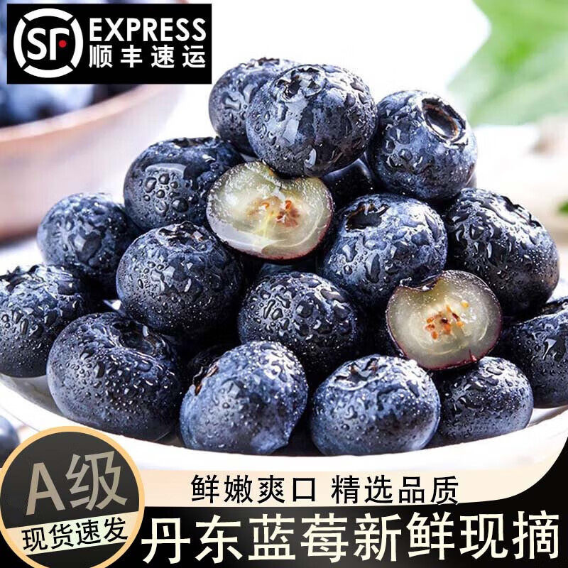 京蚨鲜丹东蓝莓鲜果水果蓝莓大果新鲜水果 2盒中果(15mm )
