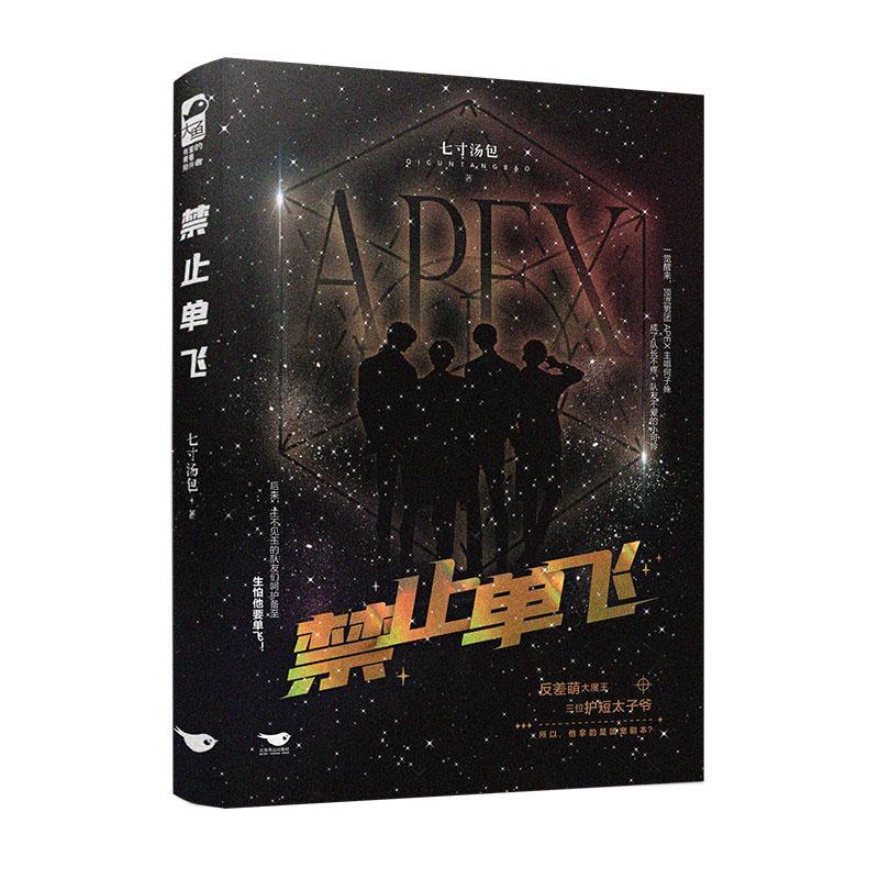 禁止单飞 七寸汤包 北京燕山出版社