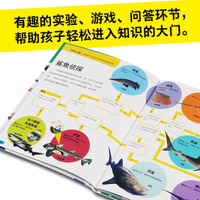 图 5