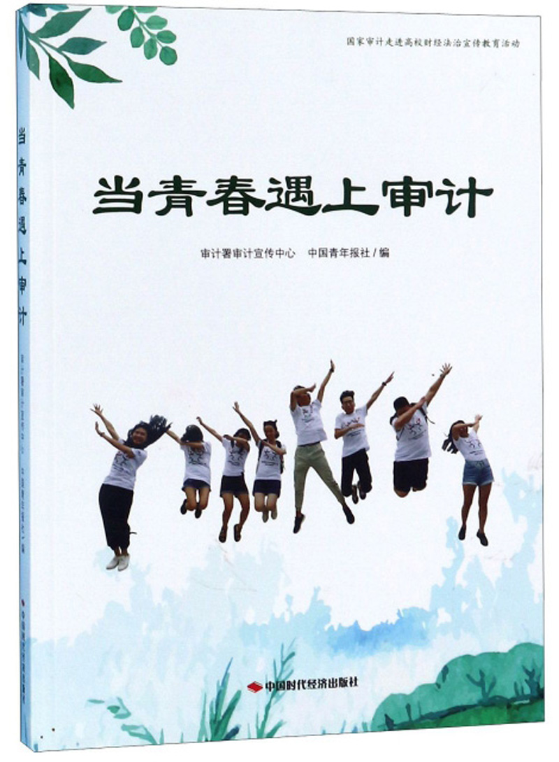 当青春遇上审计