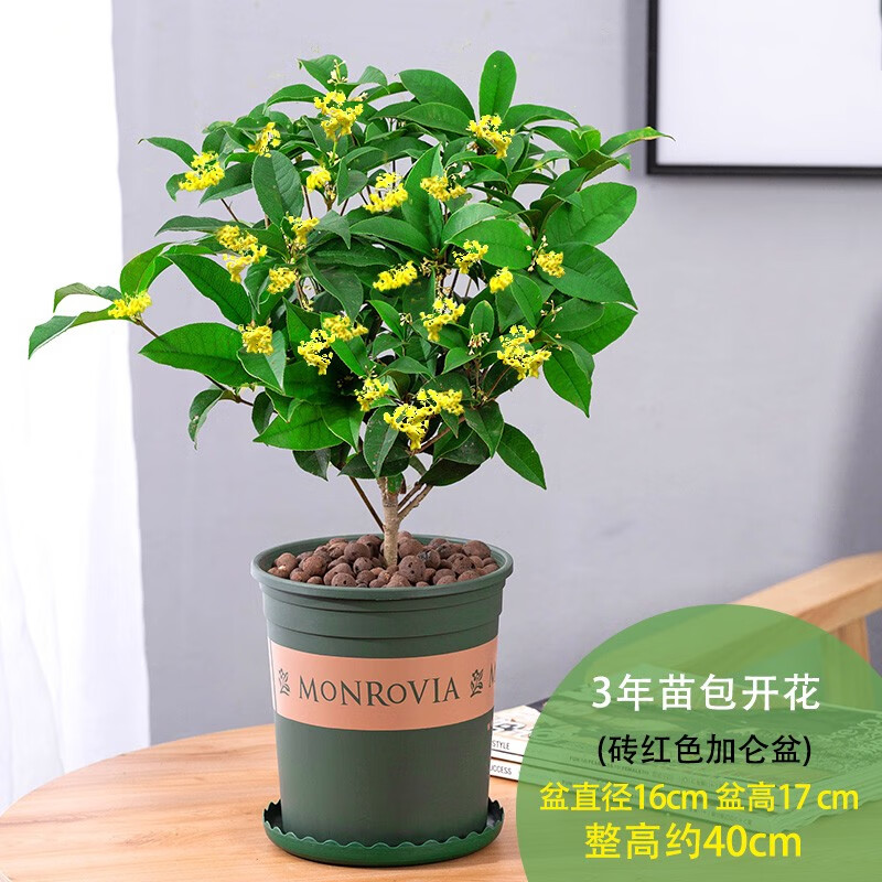 京东新品首发 2023-10-18 - 第12张  | 最新购物优惠券
