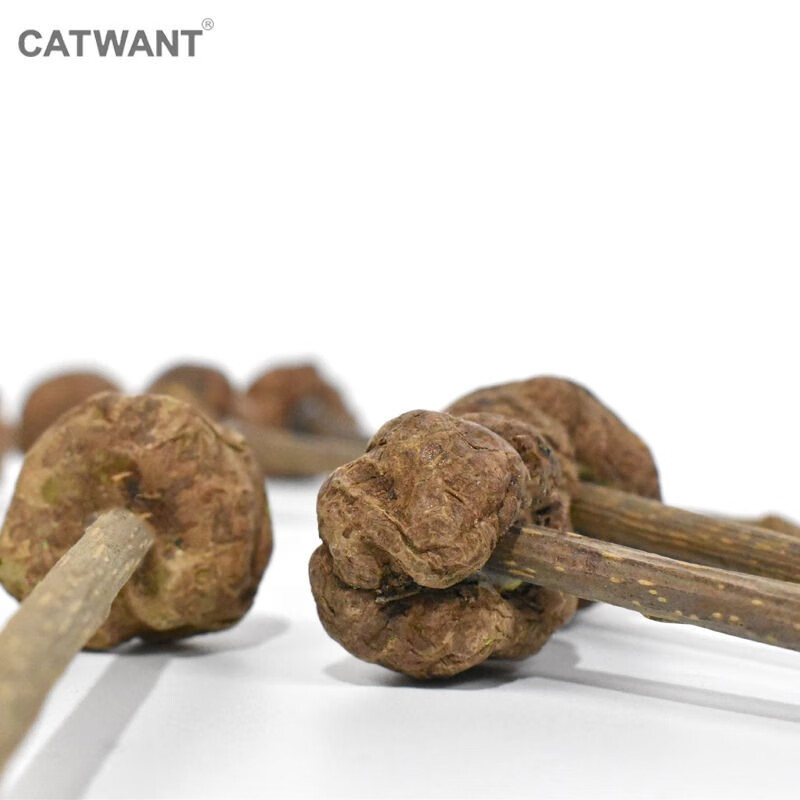猫咪旺农场虫瘿果冻干棒棒糖木天蓼磨牙棒幼猫减压洁牙自嗨玩具 虫瘿