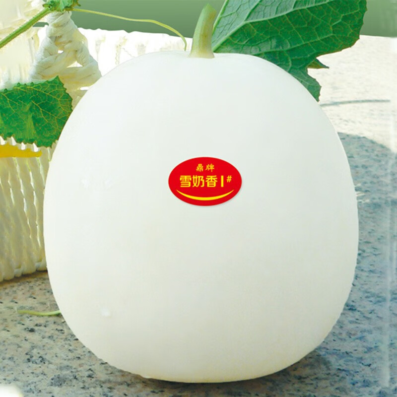 北蔬甜瓜种子高糖早熟冬春播 雪奶香1号甜瓜20粒