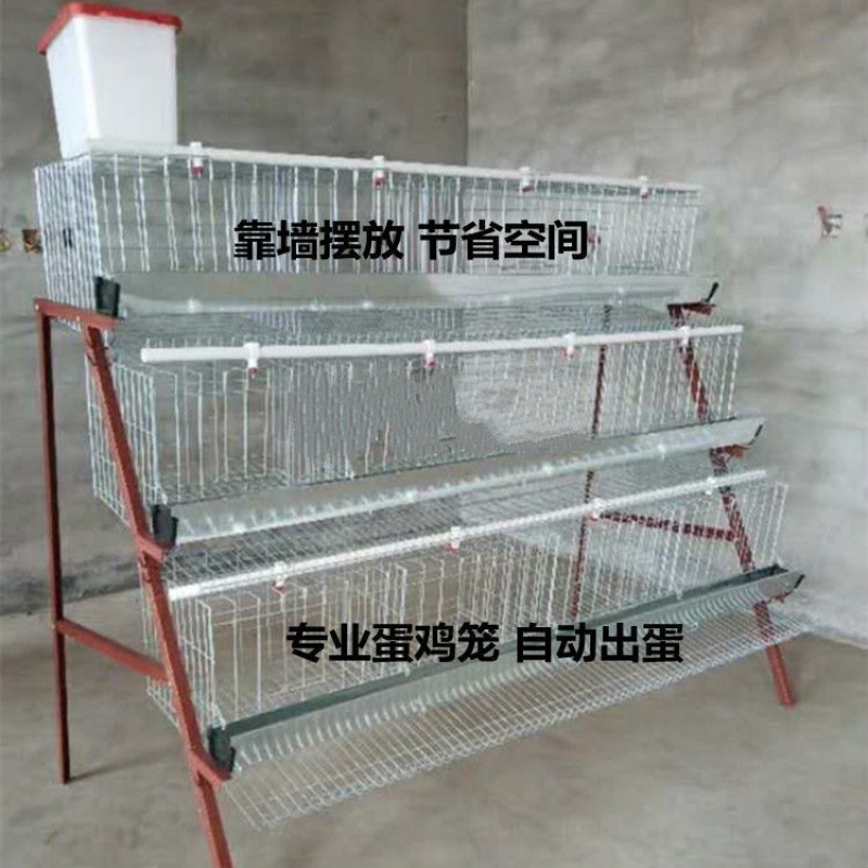 奔新农鸡舍鸡棚养殖场蛋鸡笼子家用鸡鸭特大号三层双边4门5门阶梯式镀