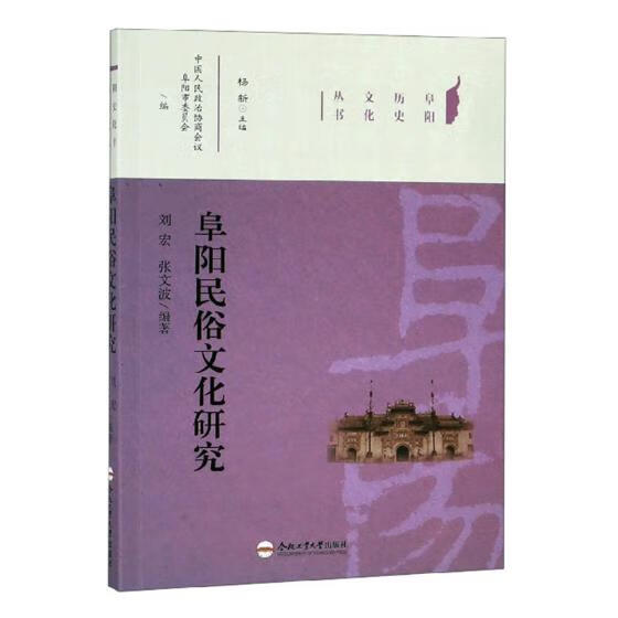 阜阳民俗文化研究 文化 书籍