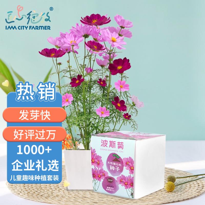 蔬菜类价格走势图分析|蔬菜类价格走势