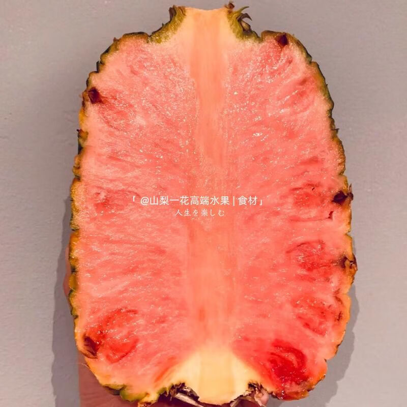 食怀粉红色菠萝1个大logo白冰凤梨哥斯达黎加品种超甜多汁礼盒 1900g