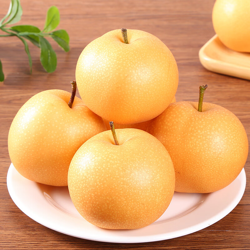 秋月梨 正宗当季现摘新鲜水果冰糖雪梨整箱 5斤 果