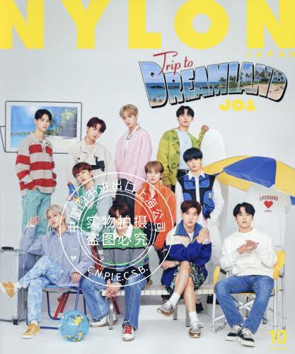 现货 进口日文 nylon japan ナイロン ジャパン 2021年 10月号 表紙