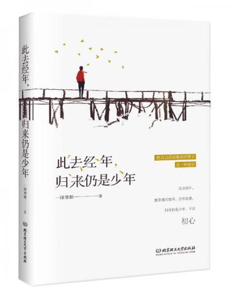 二手此去经年,归来仍是少年95新