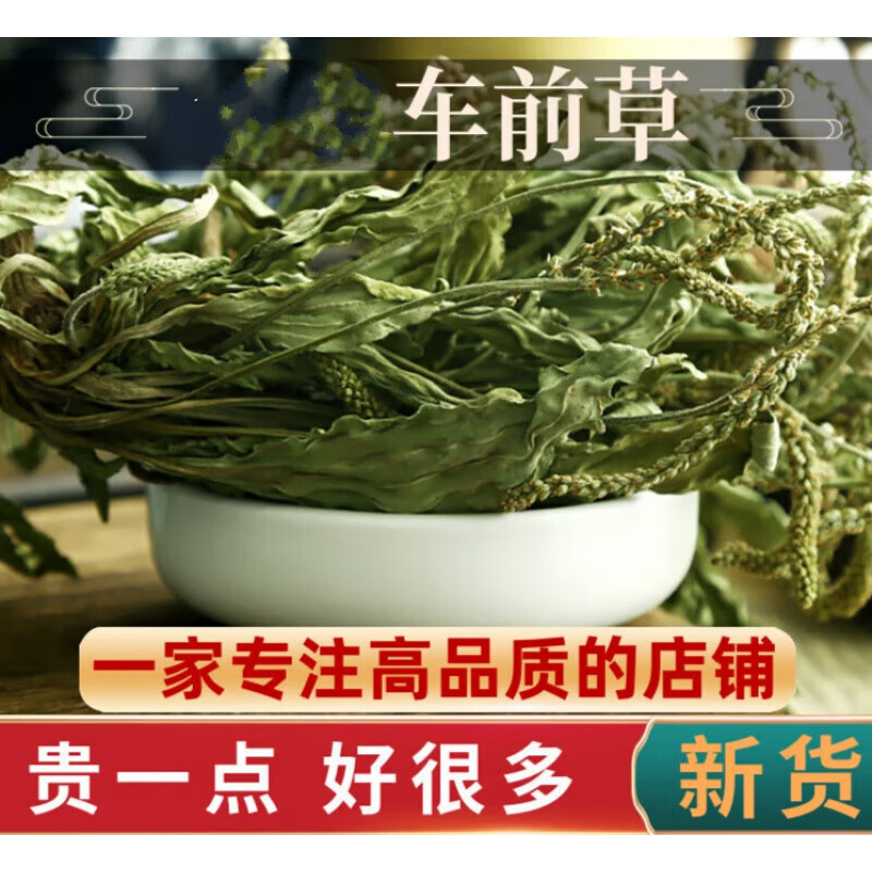 有仁堂原料车前草500克g车前草干货新鲜泡水 泡水喝泡茶
