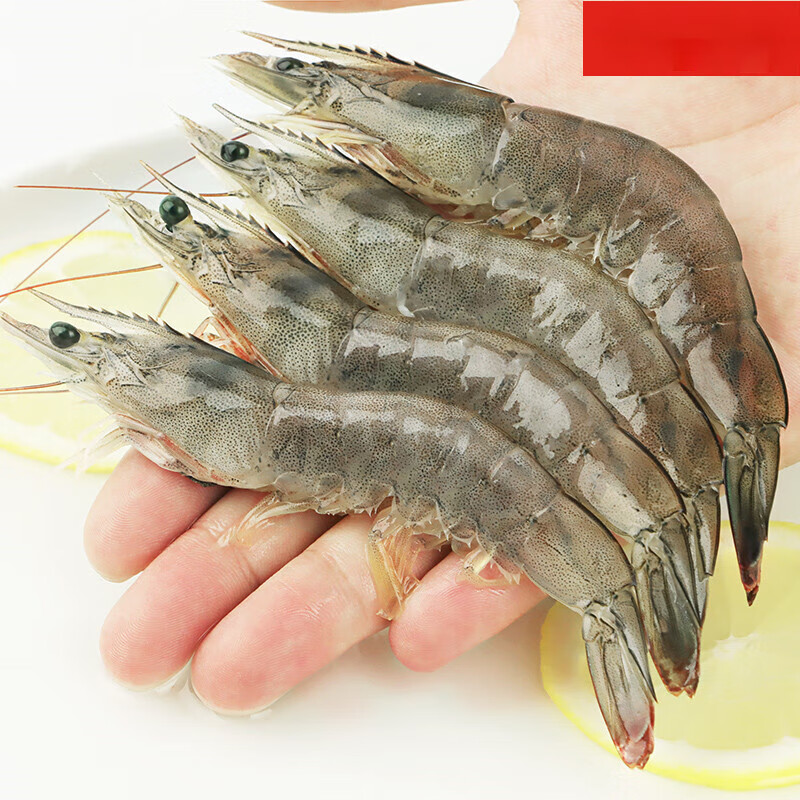 皓谦大虾鲜活超大基围虾青岛海虾特大青虾速冻海鲜水产冷冻鲜虾类