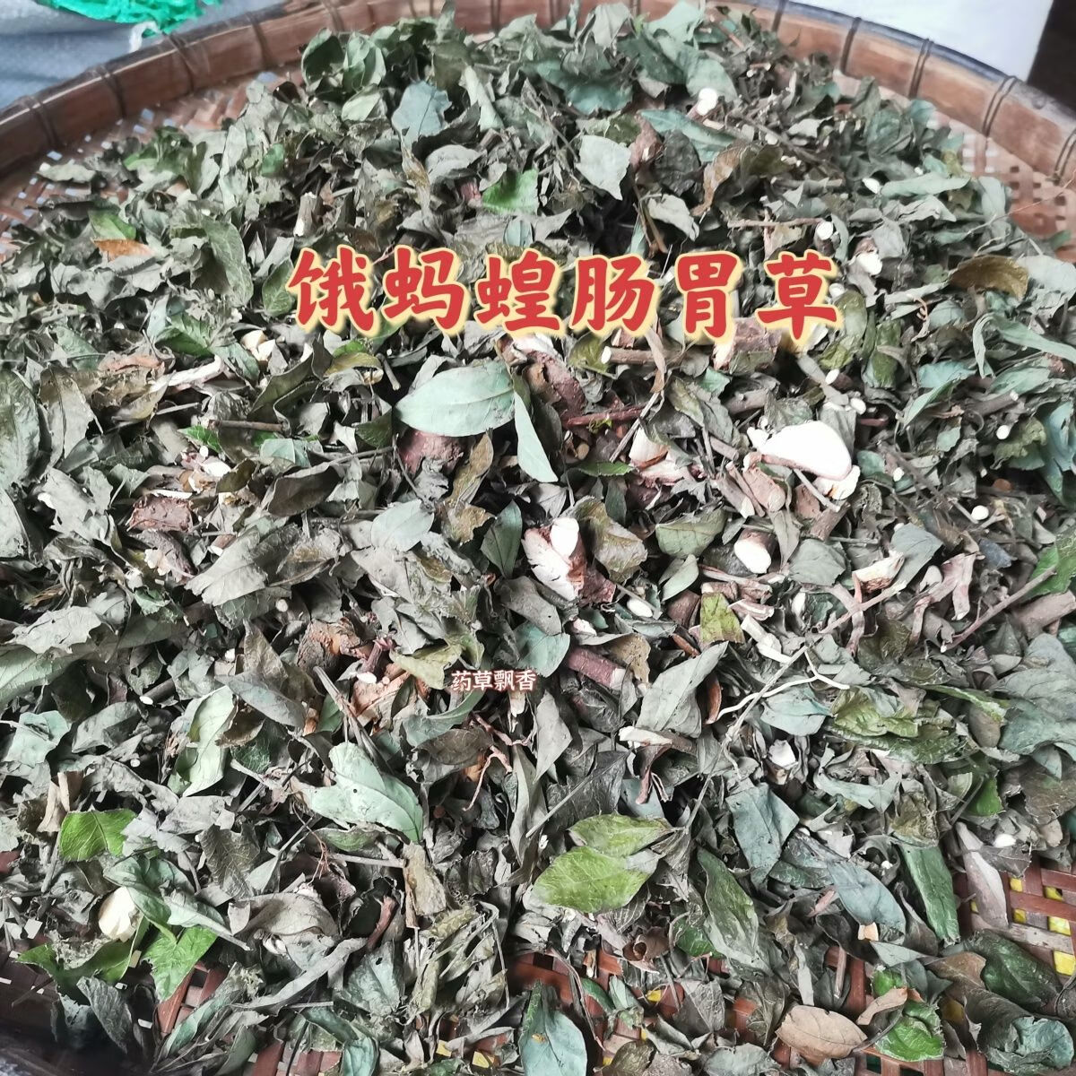 北京同仁堂原料中药小槐花 饿蚂蝗 饿蚂蟥 抹草 山蚂蝗小儿疳积 250**