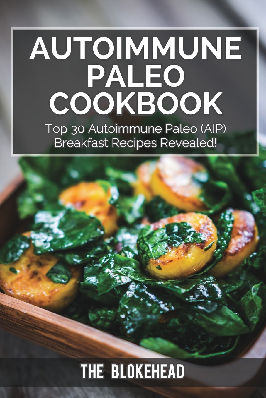 【预售 按需印刷】autoimmune paleo cookbook