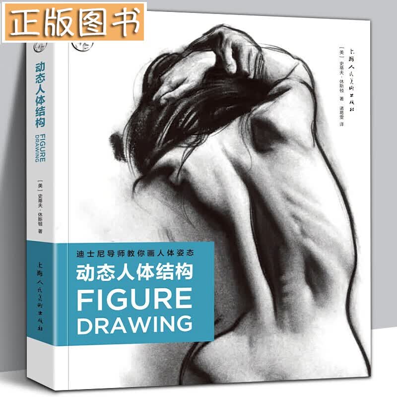 动态人体结构 迪士尼导师教你画人体姿态 西方经典美术技法译丛 人体头部结构基本姿势 透视素描速写教学