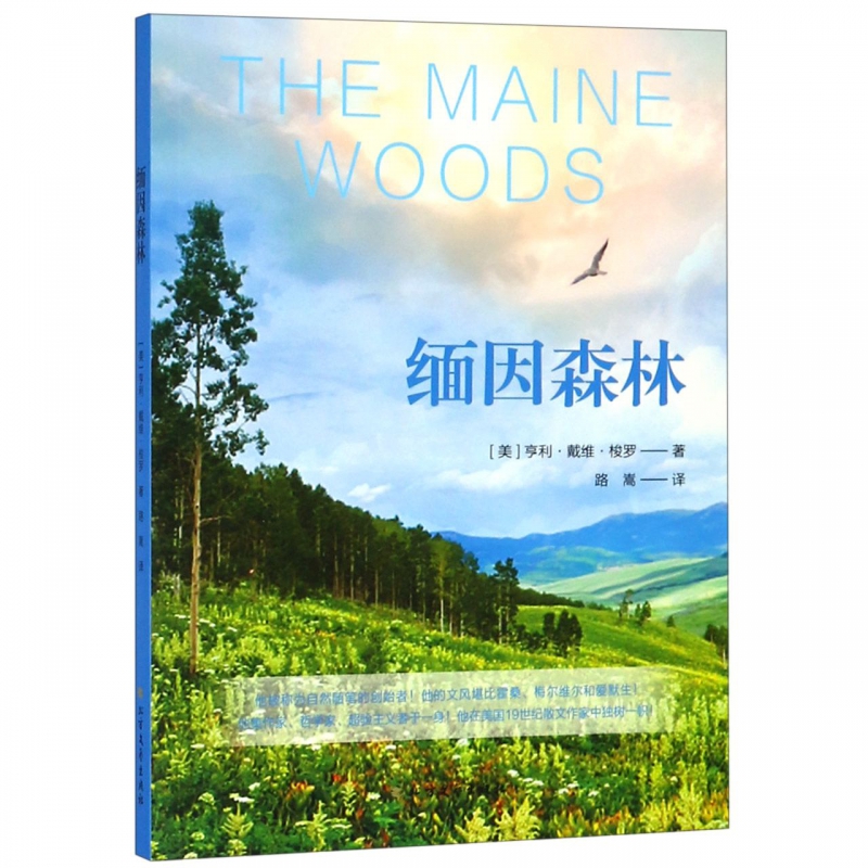 缅因森林