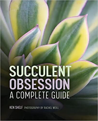 预订succulent obsession: a complete guide