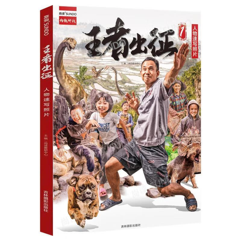 王者出征人物速写照片 【正版】