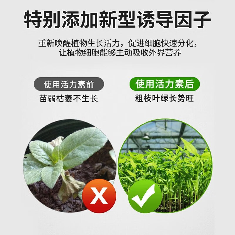 【现发】植物活力素生长花卉绿植通用浓缩营养液多肉盆栽促生根水 【活动】50ml/1瓶植物活力素